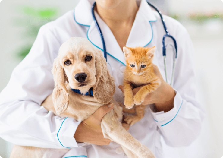 動物学と獣医学